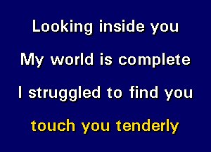 Looking inside you

My world is complete
I struggled to find you

touch you tenderly