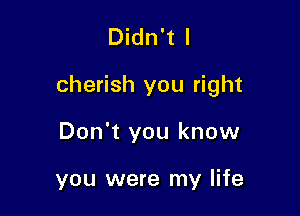 Didn't I

cherish you right

Don't you know

you were my life