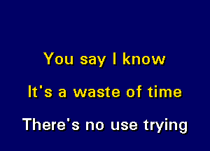 You say I know

It's a waste of time

There's no use trying