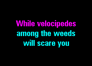 While velocipedes

among the weeds
will scare you