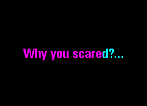 Why you scared?...