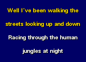 Well I've been walking the
streets looking up and down
Racing through the human

jungles at night