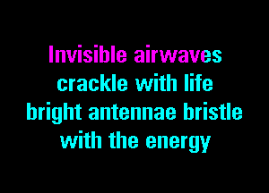 Invisible airwaves
crackle with life

bright antennae bristle
with the energy