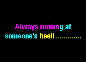 Always running at

someone's heel! .............