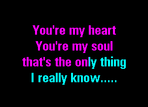 You're my heart
You're my soul

that's the only thing
I really know .....