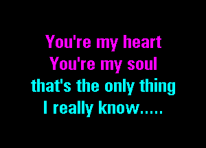 You're my heart
You're my soul

that's the only thing
I really know .....