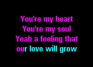 You're my heart
You're my soul

Yeah a feeling that
our love will grow