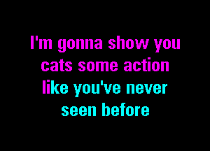 I'm gonna show you
cats some action

like you've never
seen before