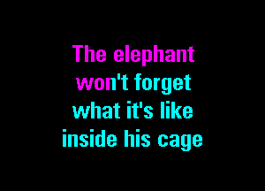 The elephant
won't forget

what it's like
inside his cage