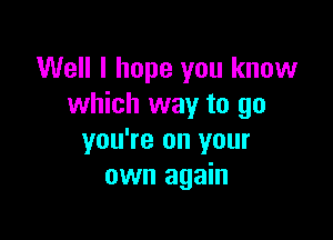 Well I hope you know
which way to go

you're on your
own again