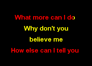 What more can I do
Why don't you

believe me

How else can I tell you