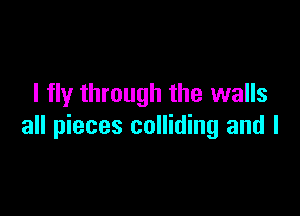 I fly through the walls

all pieces colliding and l