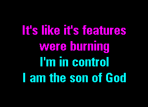 It's like it's features
were burning

I'm in control
I am the son of God