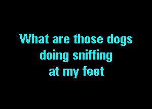 What are those dogs

doing sniffing
at my feet