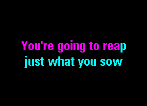 You're going to reap

just what you sow