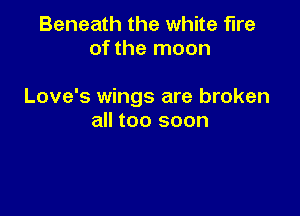 Beneath the white fire
of the moon

Love's wings are broken

all too soon