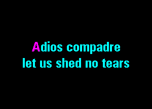 Adios compadre

let us shed no tears