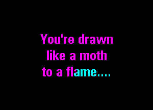 You're drawn

like a math
to a flame....