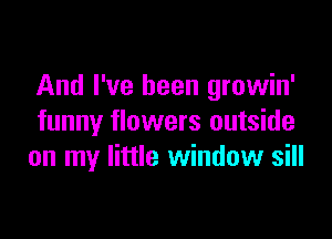 And I've been growin'

funny flowers outside
on my little window sill