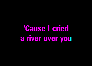 'Cause I cried

a river over you
