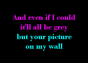 And even if I could
it'll all be grey
but your picture

on my wall