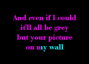 And even if I could
it'll all be grey
but your picture

on my wall