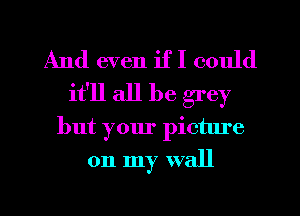 And even if I could
it'll all be grey
but your picture

on my wall