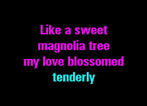 Like a sweet
magnolia tree

my love blossomed
tendeny