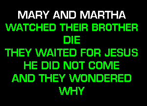 MARY AND MARTHA
WATCHED THEIR BROTHER

DIE
THEY WAITED FOR JESUS
HE DID NOT COME
AND THEY WONDERED
WHY
