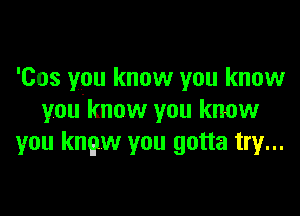 'Cos you know you know

you know you know
you knew you gotta try...