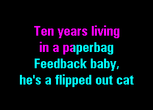 Ten years living
in a paperbag

Feedback baby.
he's a flipped out cat
