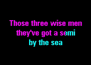 Those three wise men

they've got a semi
by the sea