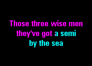 Those three wise men

they've got a semi
by the sea
