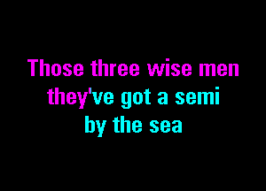 Those three wise men

they've got a semi
by the sea