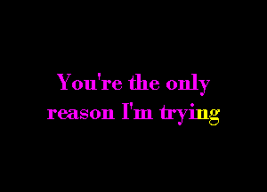 You're the only

reason I'm trying