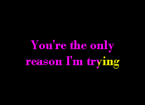You're the only

reason I'm trying