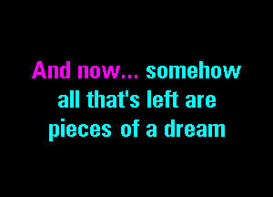 And now... somehow
all that's left are

pieces of a dream