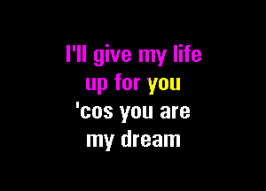 I'll give my life
up for you

'cos you are
my dream