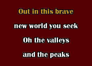 Out in this brave

new world you seek

Oh the valleys

and the peaks