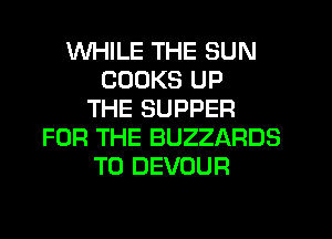 WHILE THE SUN
COOKS UP
THE SUPPER
FOR THE BUZZARDS
T0 DEVOUR