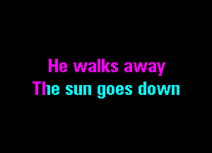 He walks away

The sun goes down
