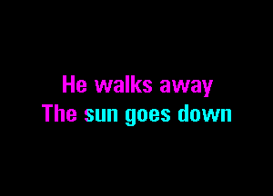 He walks away

The sun goes down