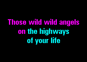 Those wild wild angels

on the highways
of your life