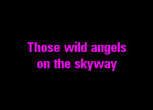 Those wild angels

on the skyway
