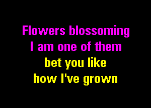 Flowers blossoming
I am one of them

bet you like
how I've grown