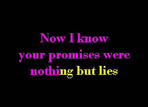 Now I know

your promises were

nothing but lies