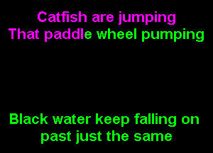 Catfish are jumping
That paddle wheel pumping

Black water keep falling on
past just the same
