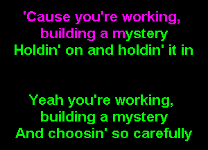 'Cause you're working,
building a mystery
Holdin' on and holdin' it in

Yeah you're working,
building a mystery
And choosin' so carefully