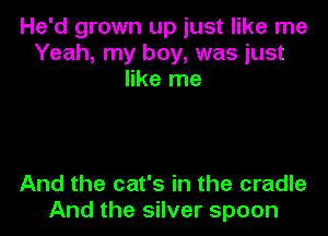 He'd grown up just like me
Yeah, my boy, was just
like me

And the cat's in the cradle
And the silver spoon