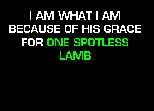 I AM WHAT I AM
BECAUSE OF HIS GRACE
FOR ONE SPOTLESS
LAMB